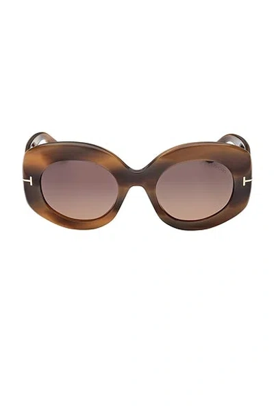 Tom Ford Claudette Sunglasses In Brown