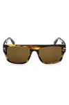 Tom Ford Dunning 55mm Rectangular Sunglasses In Shiny Brown Stripes / Roviex
