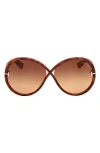 Tom Ford Edie 64mm Oversize Round Sunglasses In Havana/brown Gradient