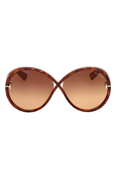 Tom Ford Edie 64mm Oversize Round Sunglasses In Havana/brown Gradient