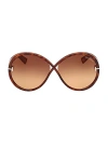 Tom Ford Women's Edie 2 Round-frame Blonde Havana Injected Sunglasses In Shiny Havana
