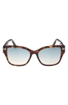 Tom Ford Elsa 55mm Butterfly Sunglasses In Dark Havana Aqua Gradient