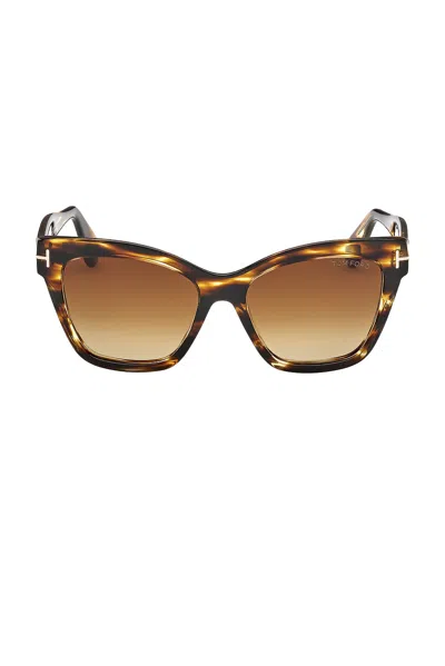 Tom Ford Elvira Sunglasses In Brown