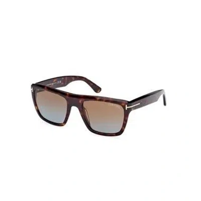 Tom Ford Fashionable Carey Brown Sunglasses For Ss24 In Carey  Brown