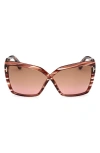 Tom Ford Fiore 63mm Oversize Gradient Butterfly Sunglasses In Striped Burgundy/champagne