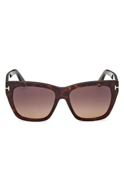 Tom Ford Flynn 55mm Gradient Butterfly Sunglasses In Shiny Classic Dark Havana/t/logo