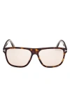Tom Ford Frances 58mm Square Sunglasses