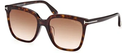 Pre-owned Tom Ford Ft0958 D 52f Plastic Dk Havana Gradient Brown 55 Mm Women's Sunglasses