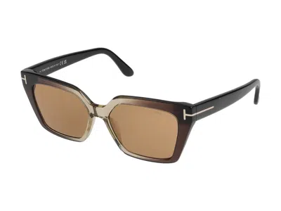 Tom Ford Ft1030 Injected Acetate Sunglasses In Brown