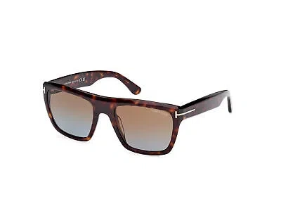Pre-owned Tom Ford Ft1077 52f Plastic Dark Havana Gradient Brown 55 Mm Men's Sunglasses