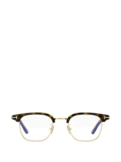 Tom Ford Ft5932-d-b Browline Glasses In Brown