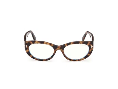 Tom Ford Ft6133-b Oval Sunglasses In Brown