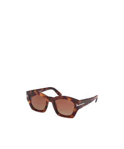 Tom Ford Full Frame Sunglasses In Brown