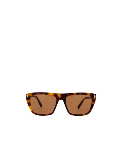 Tom Ford Full Frame Sunglasses In Brown