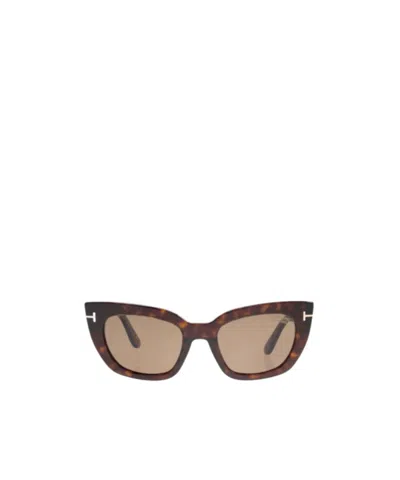 Tom Ford Full Frame Sunglasses In Brown