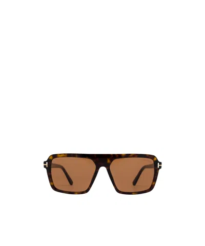 Tom Ford Full Frame Sunglasses In Brown