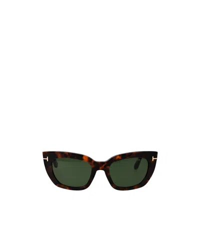 Tom Ford Full Frame Sunglasses In Havana
