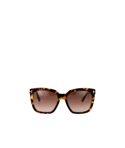 Tom Ford Geometric Frame Sunglasses In Brown
