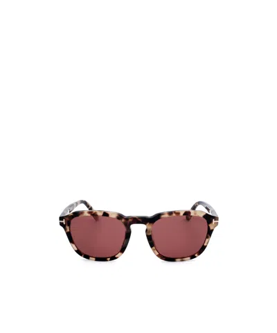 Tom Ford Geometric Sunglasses In Brown