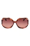 Tom Ford Georgia-02 62mm Gradient Oversize Round Sunglasses In Coloured Havana/brown