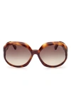Tom Ford Georgia-02 62mm Gradient Oversize Round Sunglasses In Dark Havana/gradient Smoke