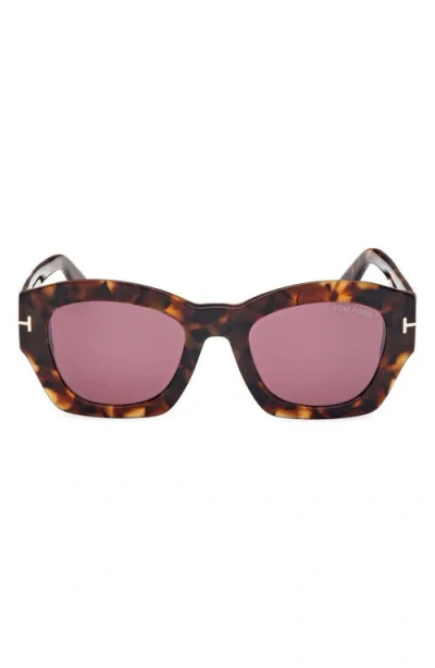 Tom Ford Guilliana 52mm Geometric Sunglasses In Shiny Dark Havana/bordeaux