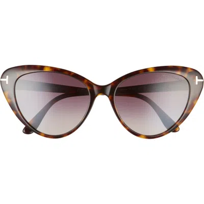 Tom Ford Harlow 56mm Gradient Cat Eye Sunglasses In Brown