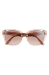 Tom Ford Haylay 53mm Square Sunglasses In Pink
