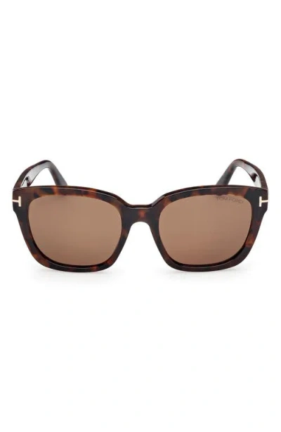 TOM FORD TOM FORD HAYLAY 53MM SQUARE SUNGLASSES