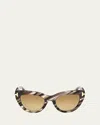Tom Ford Icon Collection Cat-eye Sunglasses In Multi