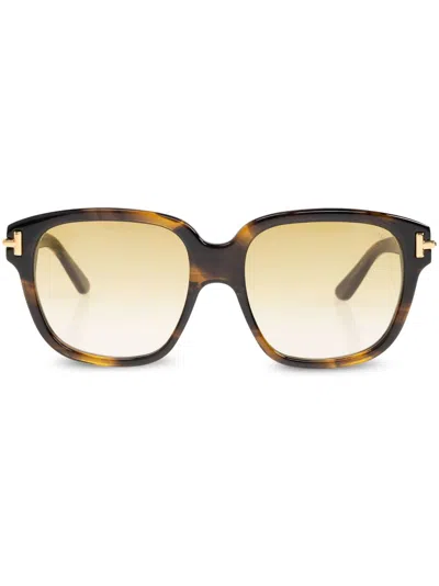 Tom Ford Icon Sunglasses In Brown
