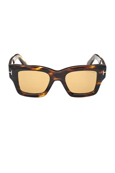 Tom Ford Ilias Sunglasses In Shiny Honey  Striped Brown  & Amber