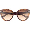 Tom Ford Izzi 53mm Cat Eye Sunglasses In Brown
