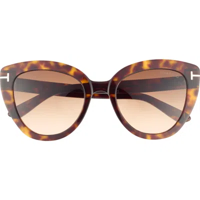 Tom Ford Izzi 53mm Cat Eye Sunglasses In Brown