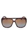 Tom Ford Jayden 61mm Pilot Sunglasses In Havana Eco/brown Light Blue