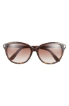 Tom Ford Karmen 57mm Gradient Round Sunglasses In Havana/ Gradient Brown Lenses