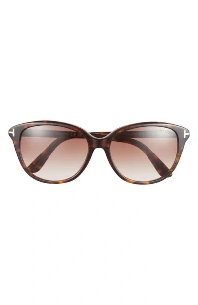 Tom Ford Karmen 57mm Gradient Round Sunglasses In Havana/ Gradient Brown Lenses