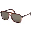 Tom Ford Kemp Sunglasses Brown In Brown