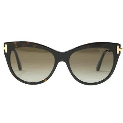 Pre-owned Tom Ford Kira Ft0821 52h Dark Havana Sunglasses In Brown