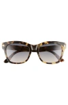 Tom Ford Lauren 52mm Sunglasses In Havana/gradient Smoke