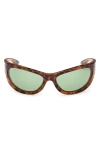 Tom Ford Leona 62mm Cat Eye Sunglasses In Brown