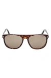 Tom Ford Lionel 55mm Square Sunglasses In Dark Havana / Roviex Gunmental