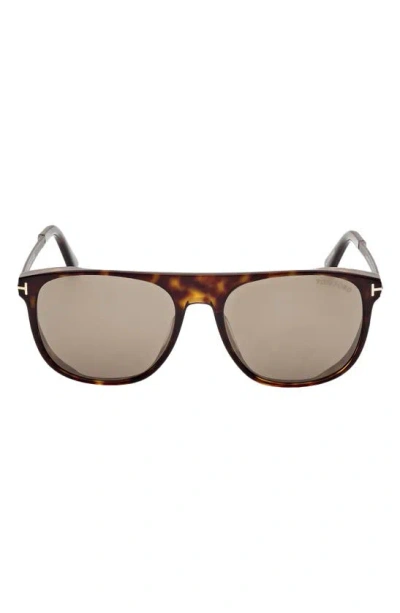 Tom Ford Lionel 55mm Square Sunglasses In Dark Havana / Roviex Gunmental