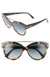 Tom Ford Livia 58mm Gradient Butterfly Sunglasses In Tortoise/rose Gold/turquoise