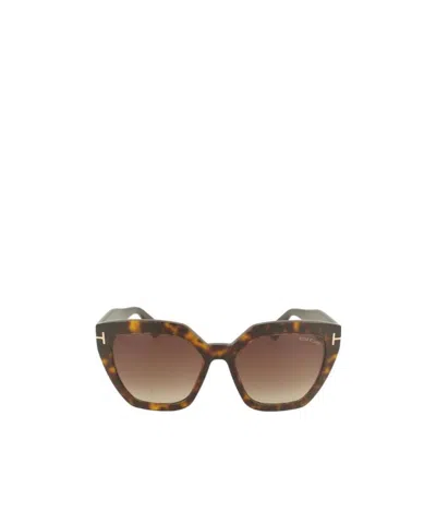Tom Ford Logo Sunglasses In Brown