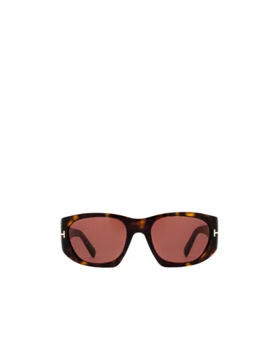 Tom Ford Logo Sunglasses In Brown