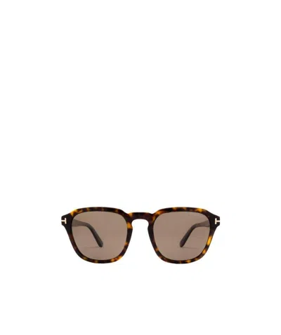 Tom Ford Logo Sunglasses In Brown