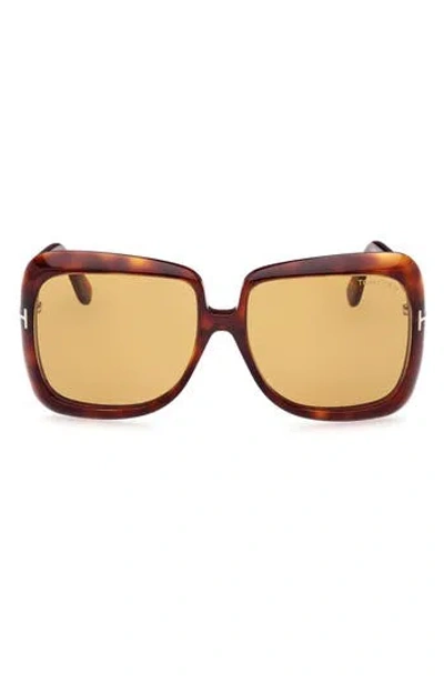 Tom Ford Lorelai 59mm Square Sunglasses In Brown
