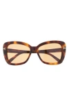 Tom Ford Maeve 55mm Butterfly Sunglasses In Brown