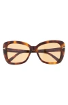 Tom Ford Maeve 55mm Butterfly Sunglasses In Blonde Havana/brown
